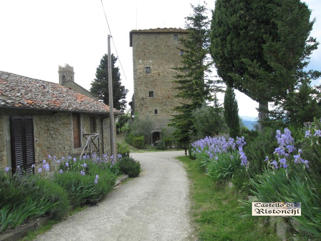 Castello Di Ristonchi Pelago Bagian luar foto